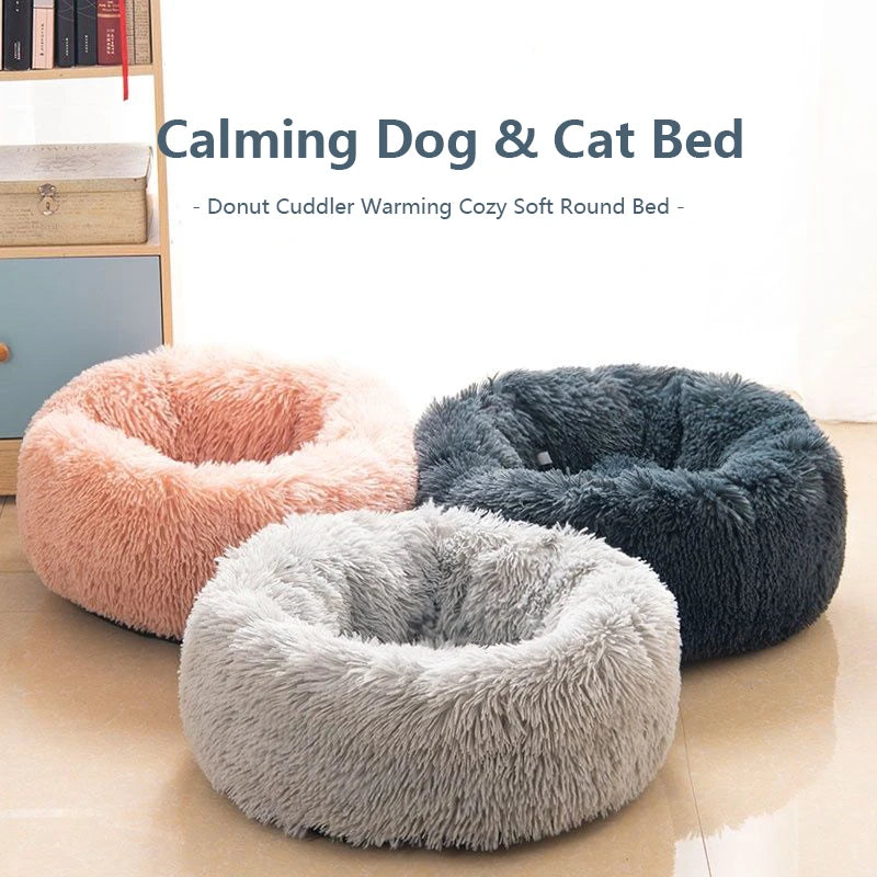 KittyCloud Bed